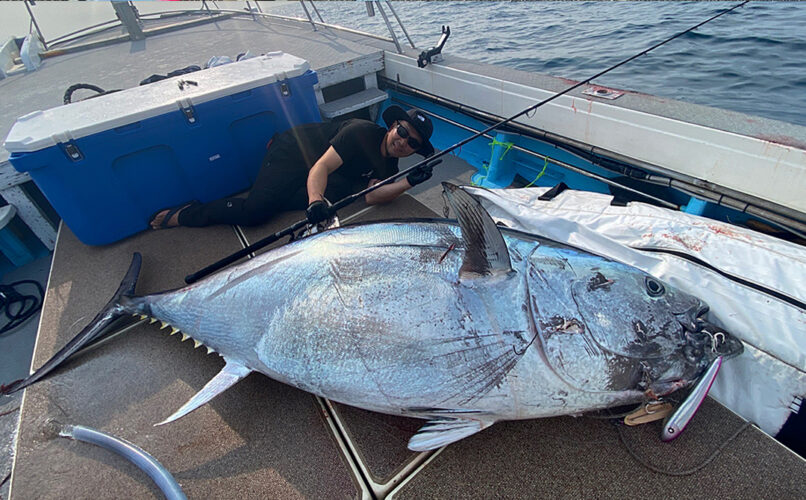 サムネイル画像